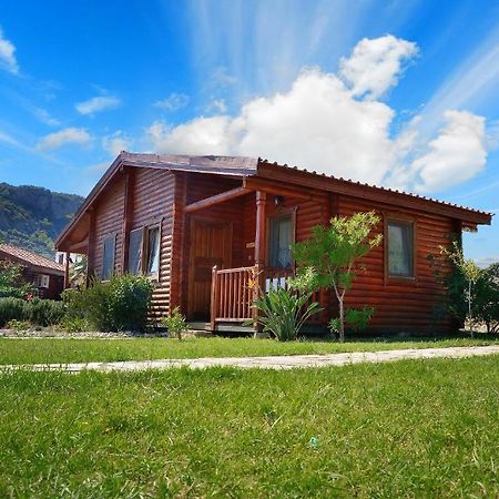 Hayitbuku Ahsapevleri Mesudiye (Datca) Phòng bức ảnh